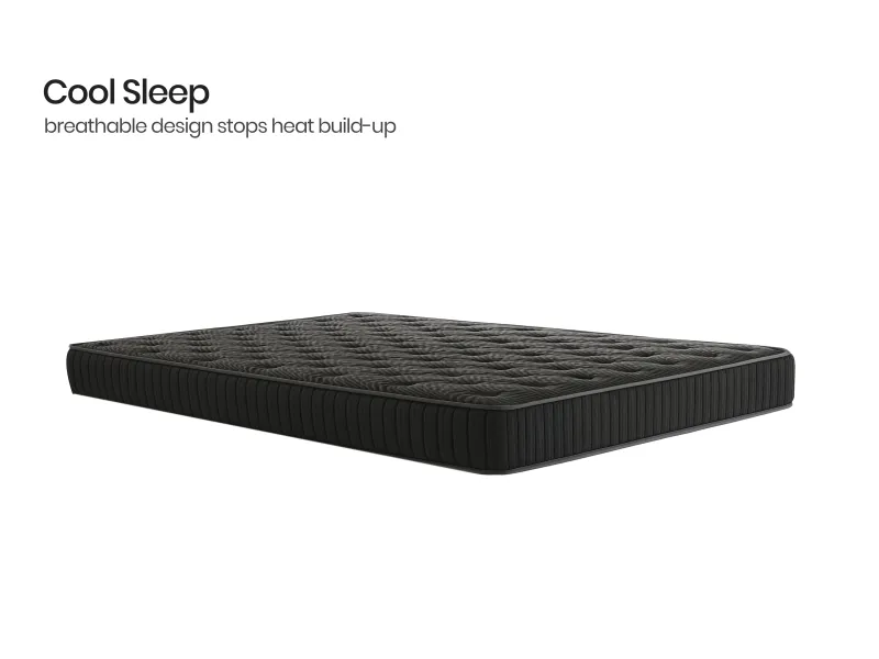 Belle Solid Wood Queen Size Double Bed with 4 Inches Mattress